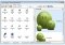 Icon Searcher image 1 thumbnail