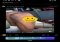 iFunny Android image 4 thumbnail