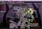 In-Poculis Mahjong image 2 thumbnail