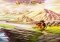 Indy Cat Android image 2 thumbnail