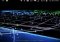 Ingress Android image 8 thumbnail