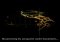 Ingress iPhone image 5 thumbnail