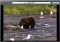 J. River Media Center image 1 thumbnail