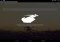 Javelin Browser Android image 3 thumbnail
