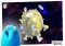 Jelly Defense Android image 2 thumbnail