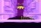 Jelly Jump iPhone image 3 thumbnail