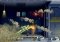 Jetpack Joyride image 3 thumbnail
