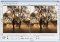 JPEG Imager image 1 thumbnail