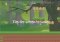 Jungle Monkey Saga Android image 4 thumbnail