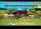 KarmaRun Android image 2 thumbnail