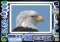 Kid Pix 3D image 5 thumbnail