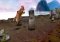 Kinectimals image 3 thumbnail