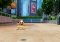 Kinectimals image 5 thumbnail