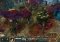 King's Bounty: Armored Princess image 4 thumbnail
