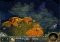 King's Bounty: The Legend image 2 thumbnail