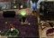 Knight Online image 5 thumbnail