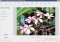 Kodak EasyShare image 2 thumbnail