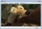 K!TV image 2 thumbnail
