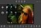 KVADPhoto+ image 3 thumbnail