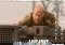 Live Free or Die Hard Wallpaper Mac image 1 thumbnail