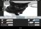 Lapse It Android image 3 thumbnail