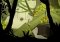 Lara Croft GO Android image 1 thumbnail