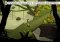 Lara Croft GO iPhone image 3 thumbnail