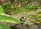 Lara Croft: Relic Run iPhone image 1 thumbnail