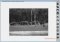 Leaf image 4 thumbnail