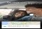 Life360 Family & Friends Locator iPhone image 3 thumbnail
