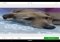 LINE Camera Android image 3 thumbnail