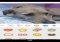 LINE Camera Android image 6 thumbnail