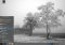 Linux Lite Linux image 3 thumbnail