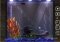 Liquisity 2 image 2 thumbnail