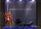 Liquisity 2 image 3 thumbnail
