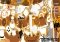 Little Things image 7 thumbnail