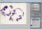 Livebrush image 4 thumbnail