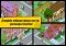 Les Simpson Springfield iPhone image 5 thumbnail
