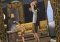 The Sims 3 Video