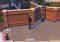 The Sims 4 image 4 thumbnail