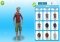 Les Sims FreePlay Android image 5 thumbnail