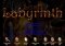 Lost Labyrinth image 3 thumbnail