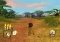 Madagascar image 1 thumbnail