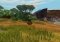 Madagascar image 3 thumbnail