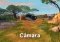 Madagascar image 6 thumbnail