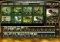 Magic : L'Assemblée - Tactics image 5 thumbnail