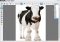 Magix FunPix Maker image 2 thumbnail