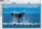 Magix FunPix Maker image 4 thumbnail