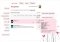 ManageFlitter Webapps image 2 thumbnail