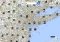 Maps App image 5 thumbnail